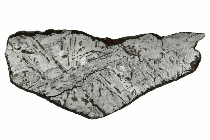 Etched Canyon Diablo Meteorite Slice ( g) - Arizona #356083